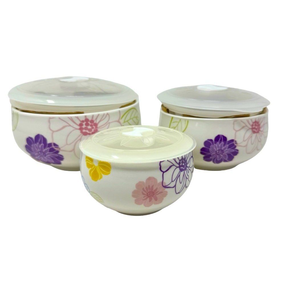 3 Premium Ceramic Bowl Set | NIB